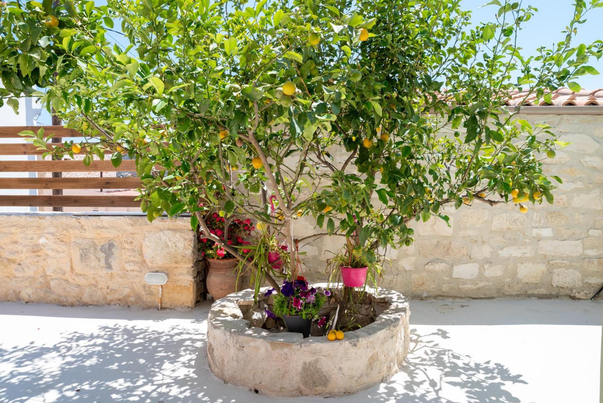 Calliope'S House In Knossos Villa Dış mekan fotoğraf